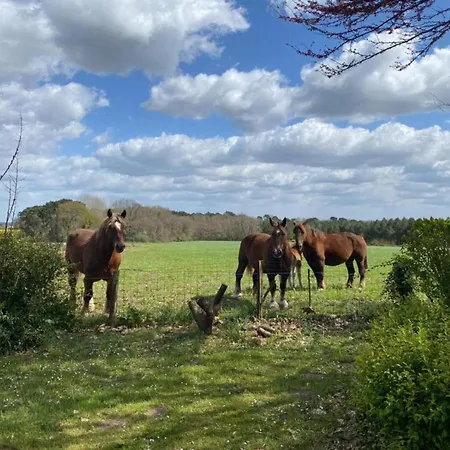 بيت ضيافة Domaine Hias